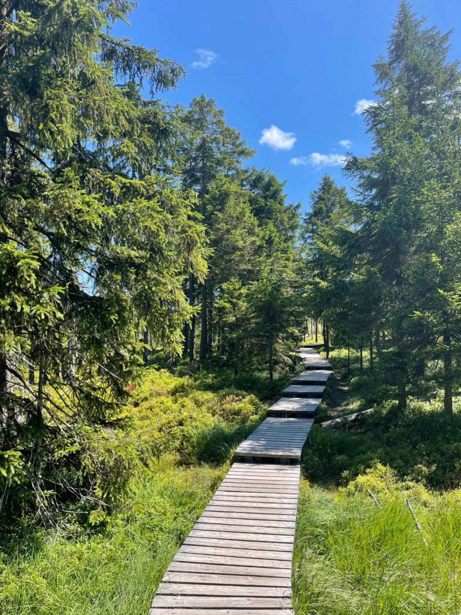Harz Escape